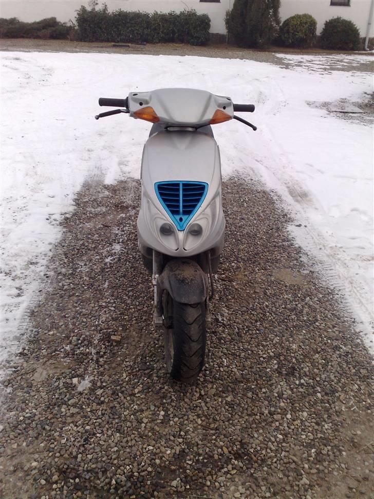 Piaggio nrg byttet til hot billede 6