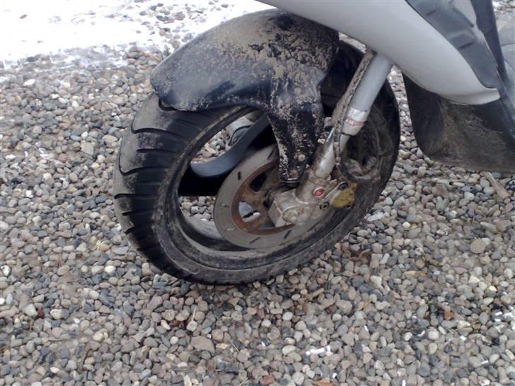 Piaggio nrg byttet til hot billede 7