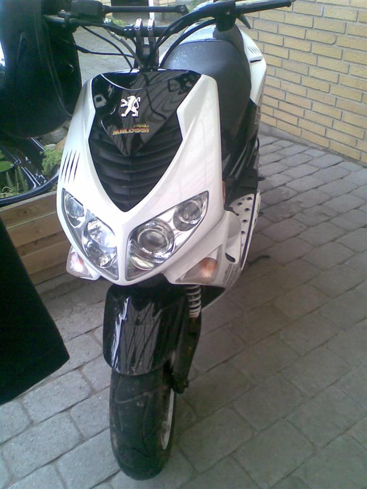 Peugeot speed fight 2 rcup  billede 1