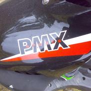 PGO pmx