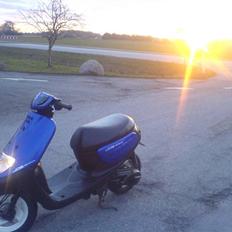 Yamaha space taget a panserne