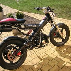 Sachs MadAss DD [SOLGT]