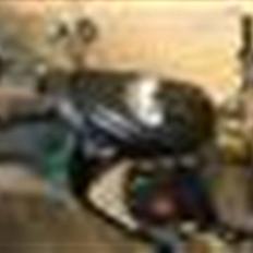 Gilera Stalker nu BYTTET TIL JOG