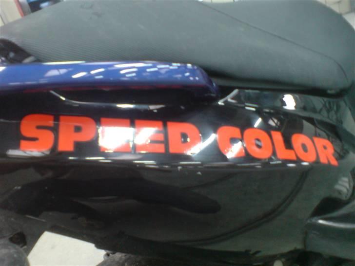 PGO DR. BIG (Efter Autolak) - SpeedColor billede 7