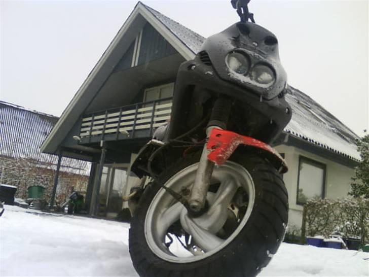 PGO Pmx AC  Hirtshals  byttet billede 1