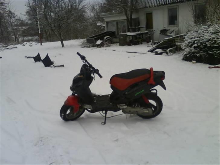 PGO Pmx AC  Hirtshals  byttet billede 2