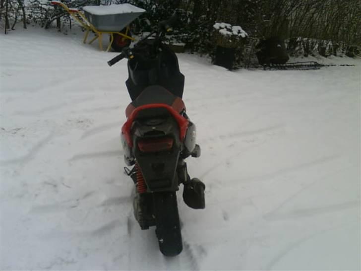 PGO Pmx AC  Hirtshals  byttet billede 4