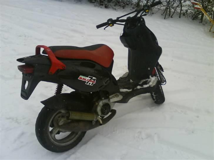 PGO Pmx AC  Hirtshals  byttet billede 5