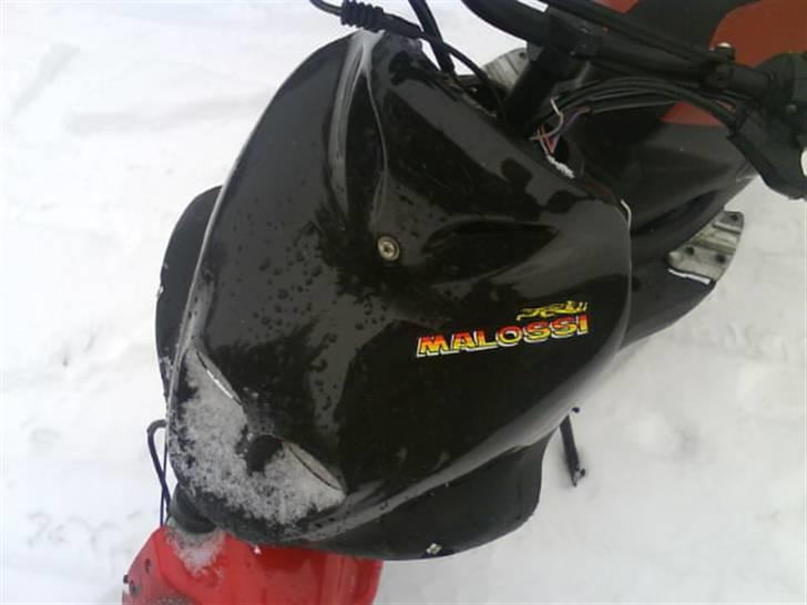 PGO Pmx AC  Hirtshals  byttet billede 9