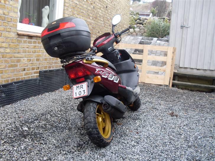 PGO T-Rex (BYTTET) billede 6