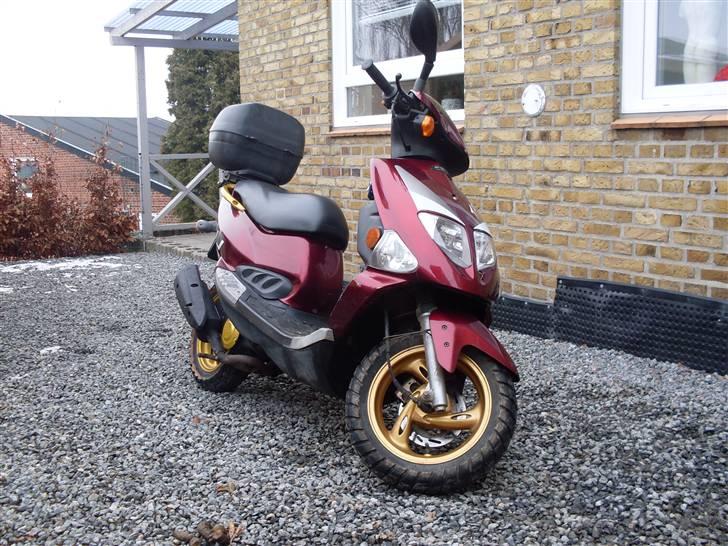 PGO T-Rex (BYTTET) billede 7