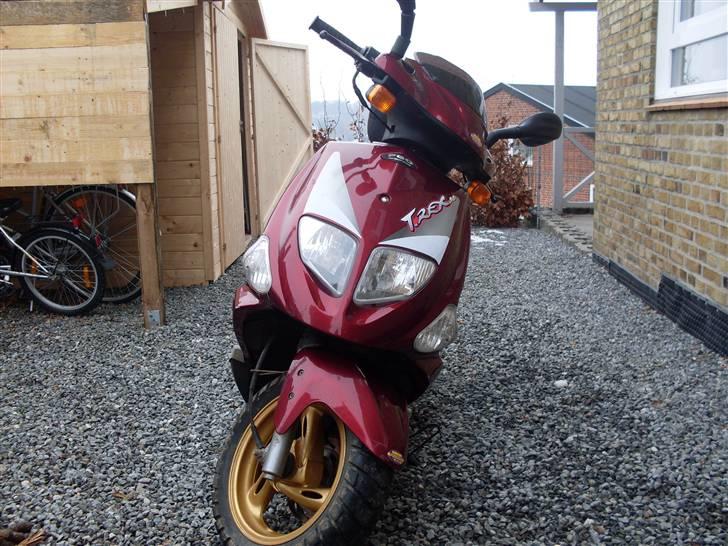 PGO T-Rex (BYTTET) billede 9