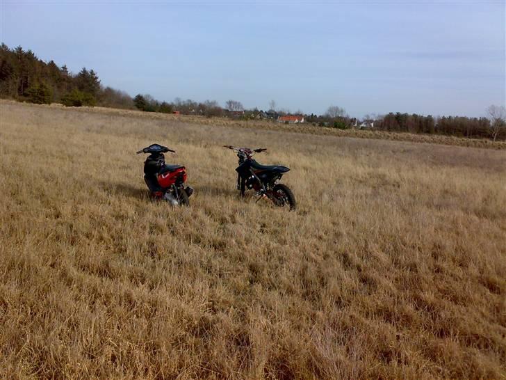 Derbi senda  LC TD  Reptop.  billede 7