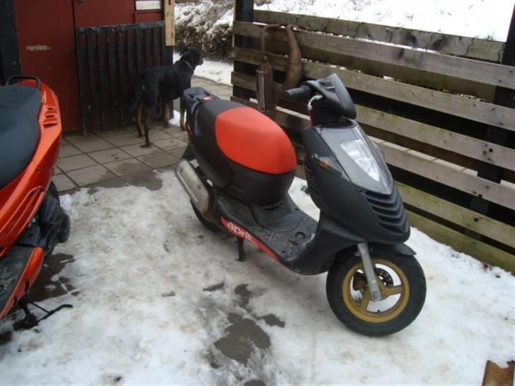 Aprilia sonic gp (solgt) billede 2