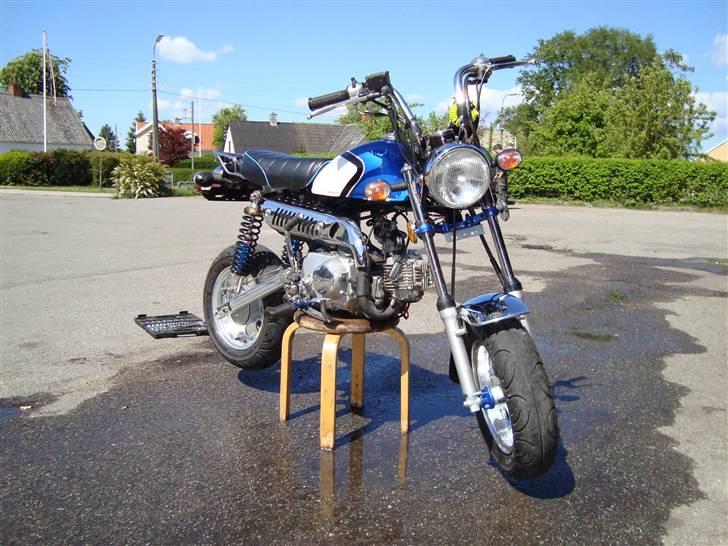 Skyteam - Monkey billede 1