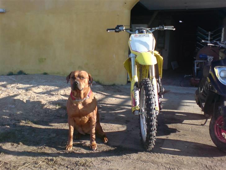 Suzuki Rm 125ccm SÆLGES! billede 17