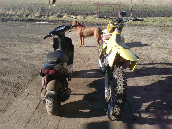 Suzuki Rm 125ccm SÆLGES! billede 18