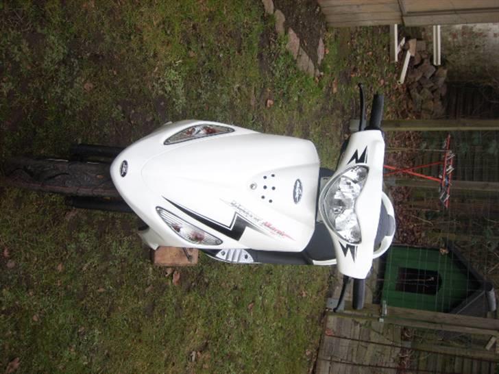 PGO White Magic billede 2