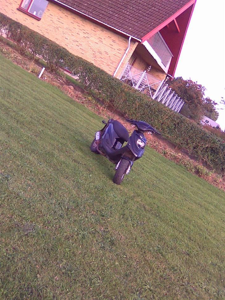 PGO Hot 50 ¤ Solgt ¤  billede 2