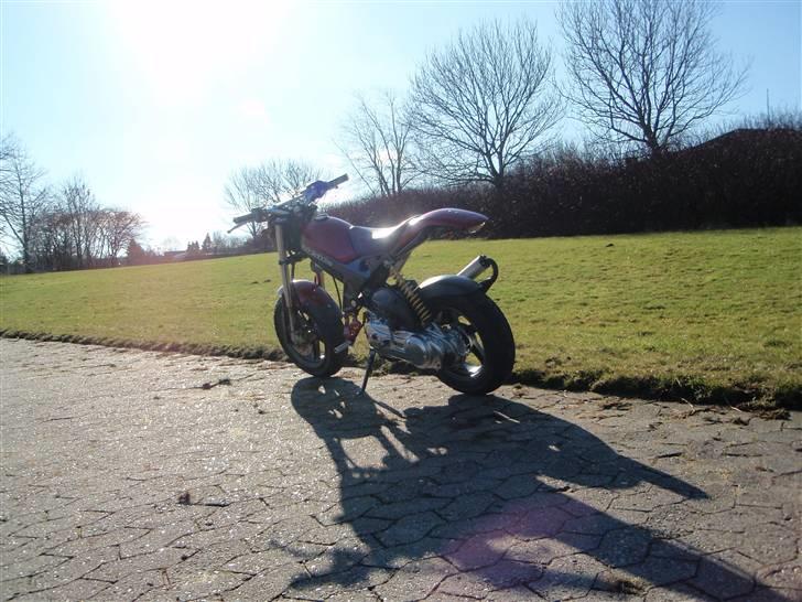 Suzuki Street magic billede 12