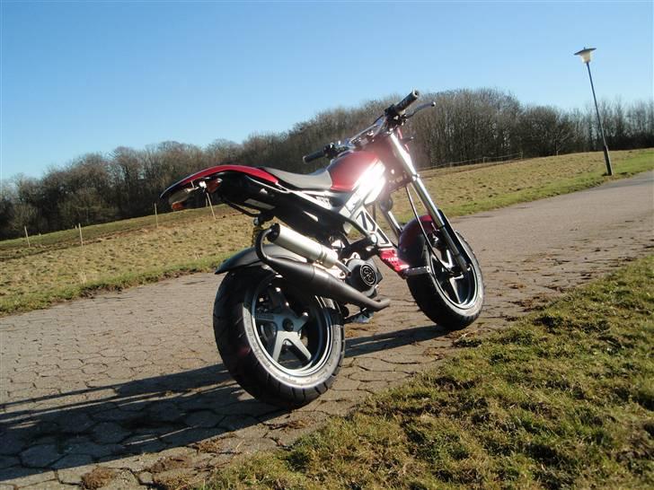 Suzuki Street magic billede 13