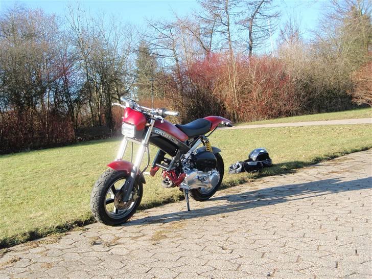 Suzuki Street magic billede 14