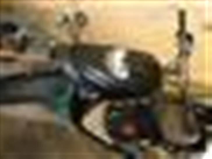 Gilera Stalker nu BYTTET TIL JOG billede 3