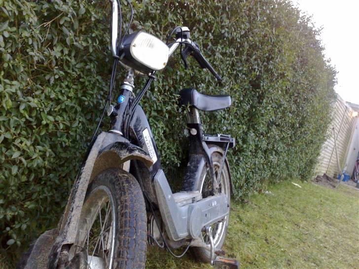 Piaggio caio billede 1