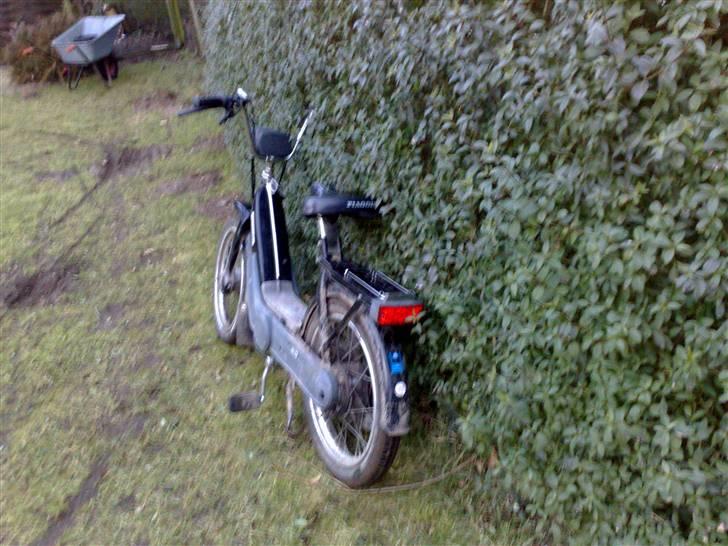 Piaggio caio billede 3