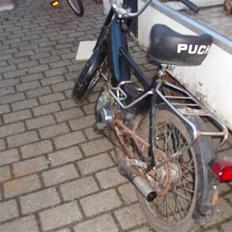 Puch maxi SOLGT