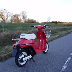 Honda NT50 Mini Melody (Solgt) 