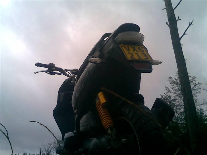 PGO PMX Naked Carbon (solgt) billede 6