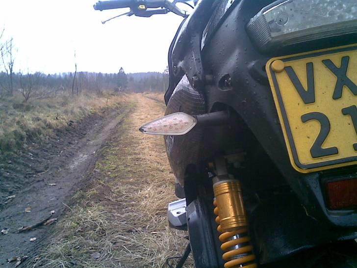 PGO PMX Naked Carbon (solgt) billede 7