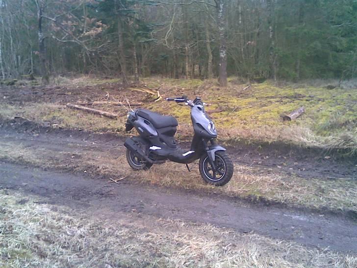 PGO PMX Naked Carbon (solgt) billede 9