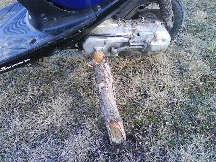 Yamaha Jog space ( TIL SALG ) billede 8