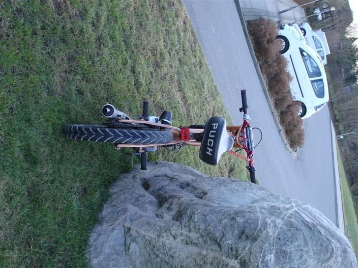 Puch maxi k(solgt) billede 10