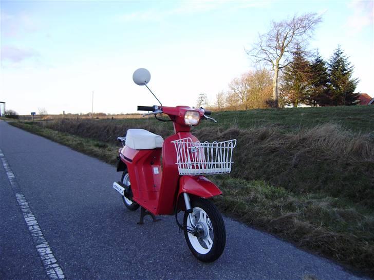 Honda NT50 Mini Melody (Solgt)  billede 1