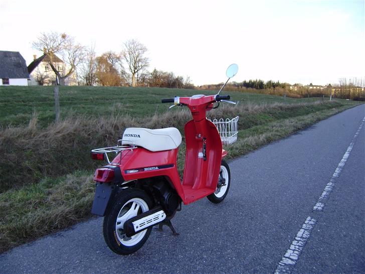 Honda NT50 Mini Melody (Solgt)  billede 2