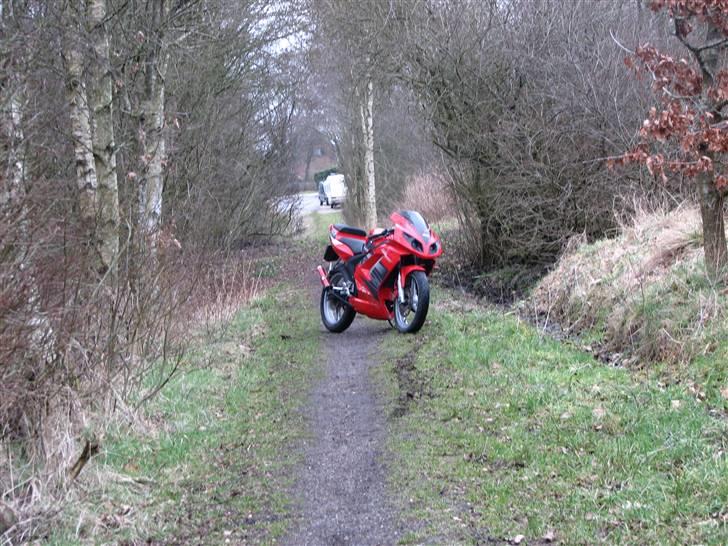 Rieju RS2 Matrix Team byttet! billede 18