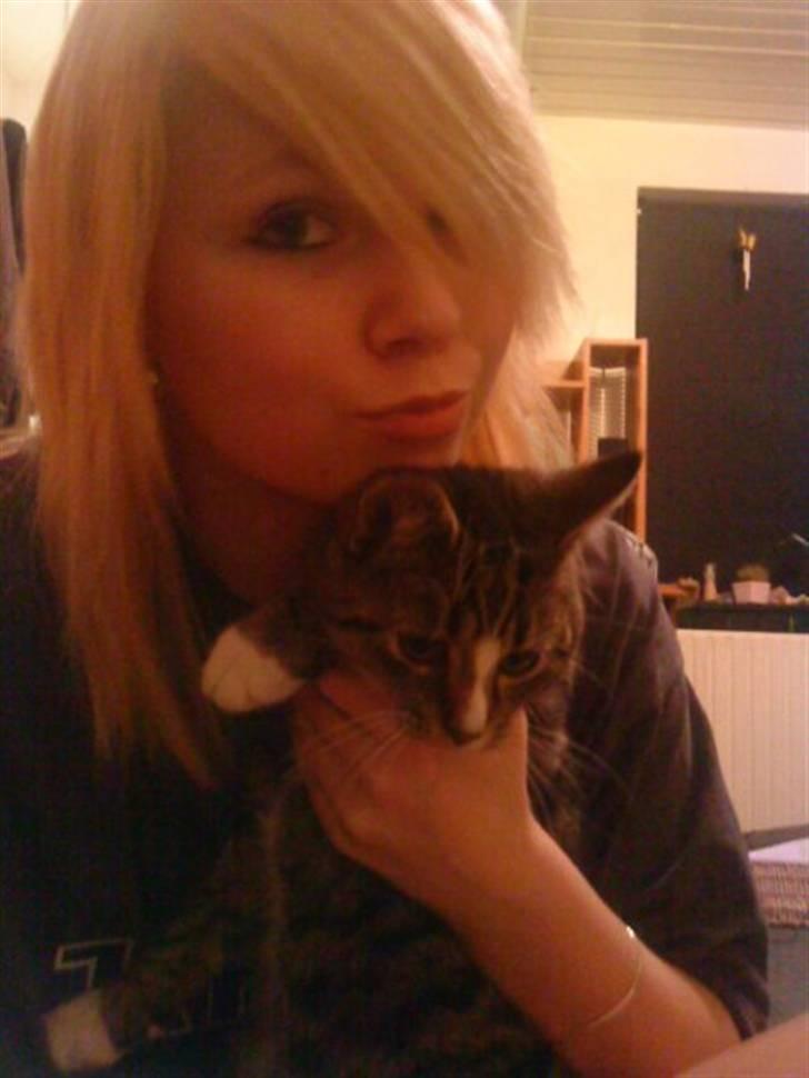 Yamaha fs1 dx projekt billede 1