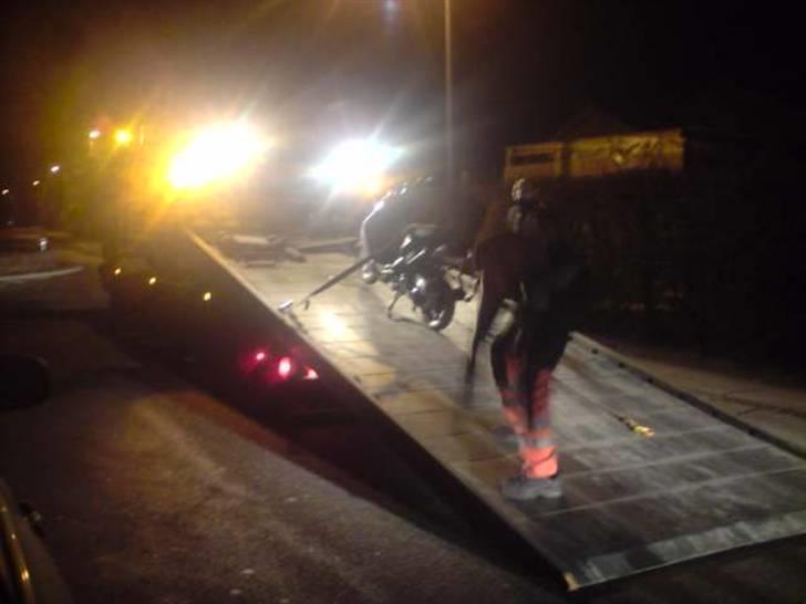 Giantco sprinter - 2 gang svine tager den med  billede 9