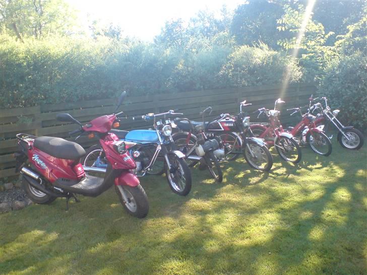 PGO hot 50 solgt billede 4