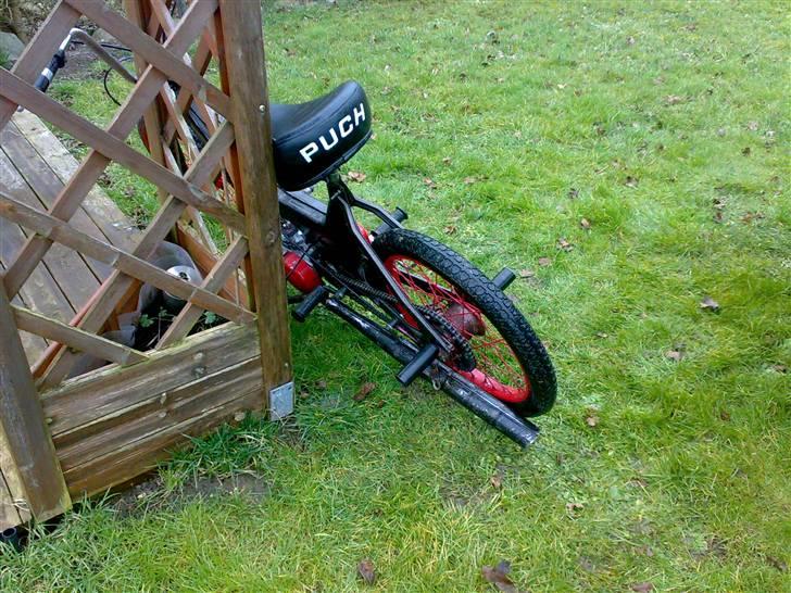 Puch Maxi (Solgt) billede 4