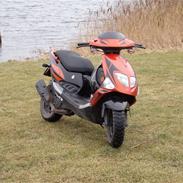 PGO Dr. Big X(ORANGE STAR)X