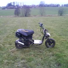 PGO Galaxy *hugget op*