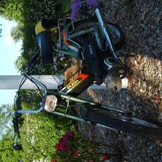 Puch maxi 2g