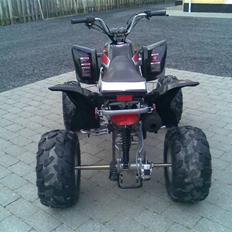 MiniBike ATV (Solgt)