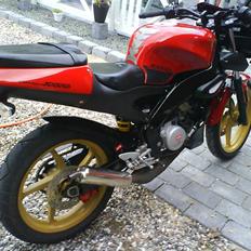 Aprilia RS50 Tuono solgt