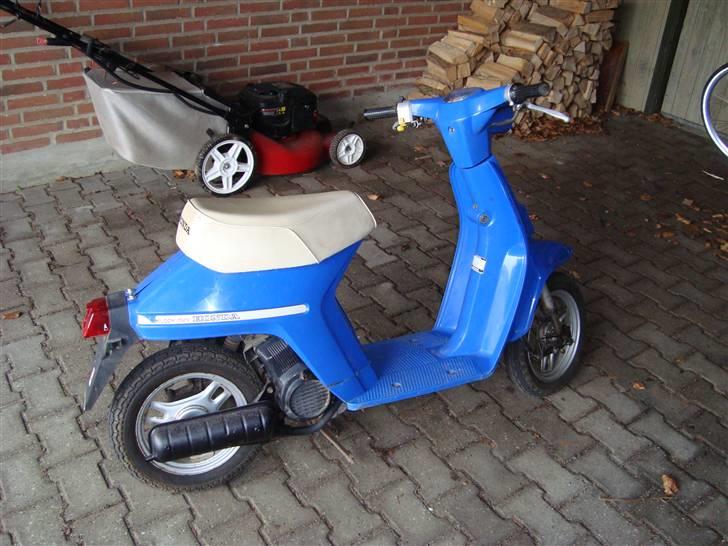 Honda Melody mini NT50 billede 2