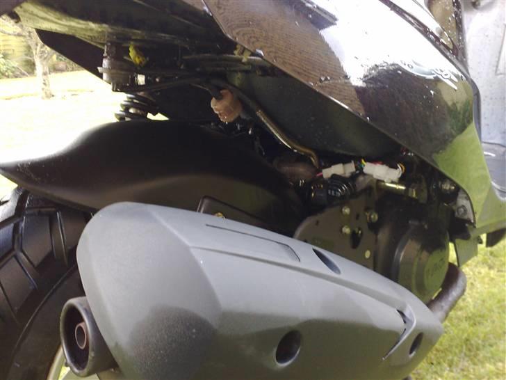 PGO Hot 50 billede 7